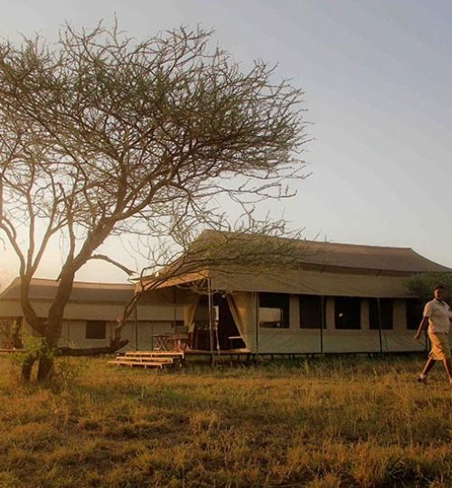 bush camp